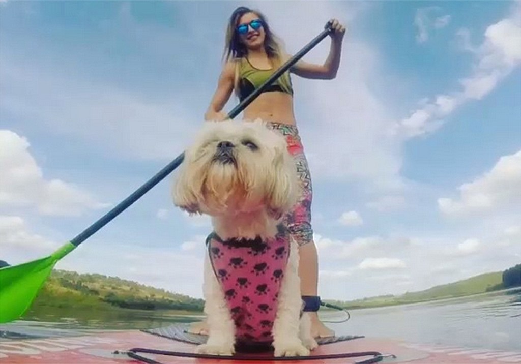 Os “caopanheiros” de treino das nossas leitoras