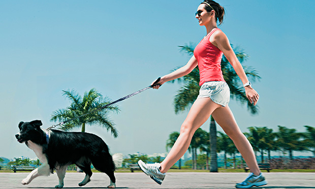 Passear com o cachorro ajuda a emagrecer e tonificar os músculos