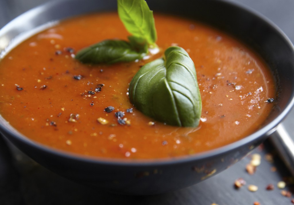 Sopa-creme de lentilha germinada e tomate