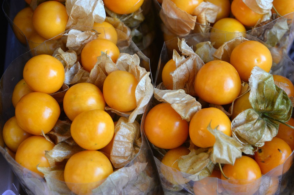 Fruta: physalis ou golden berry