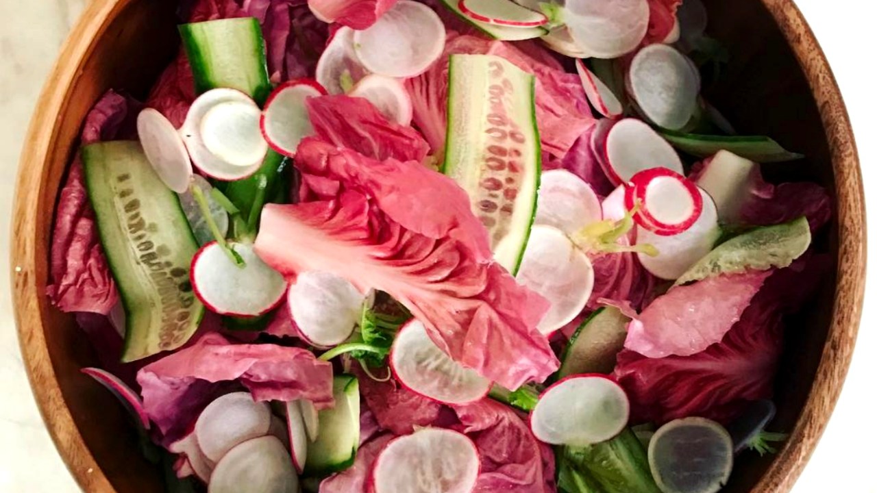 salada radicchio rosa