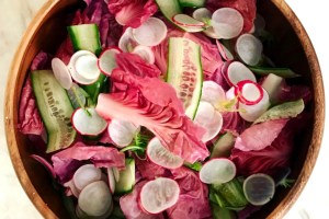 salada radicchio rosa