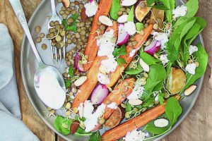 Salada completa com cenoura e cottage