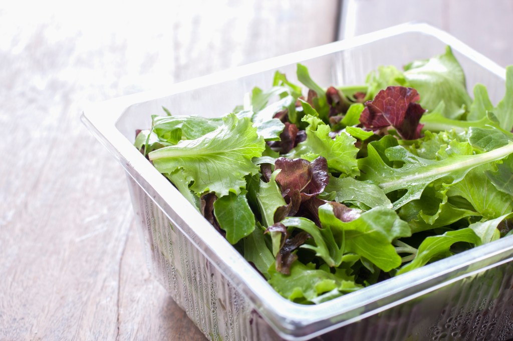 Maioria das saladas prontas está contaminada por bactérias
