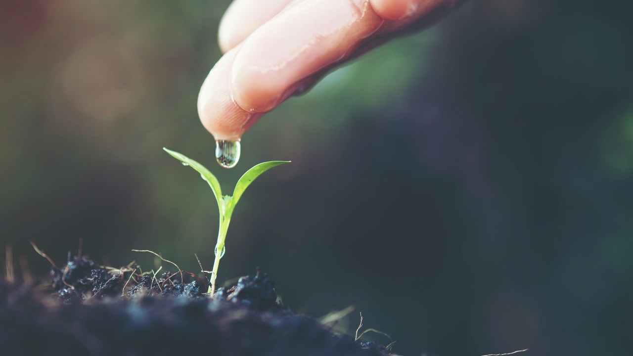 Cultivar seu propósito: pequenos hábitos aumentam a conexão espiritual