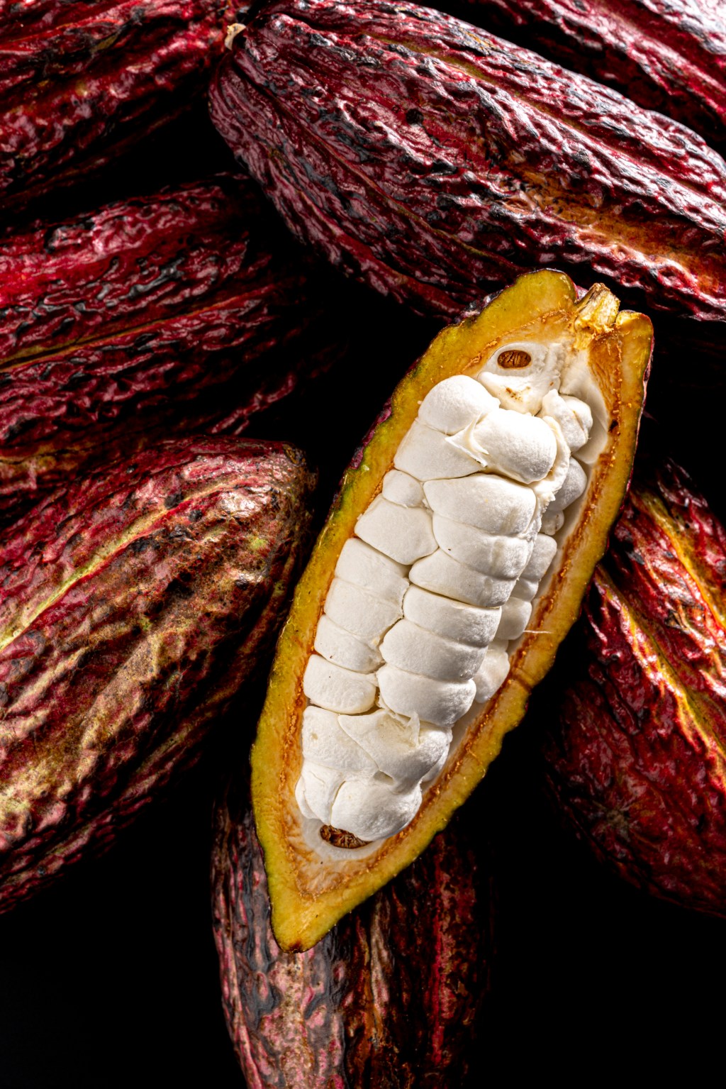 Wholefruit: lançamento da Cacao Barry aproveita a polpa do cacau, não só a amêndoa