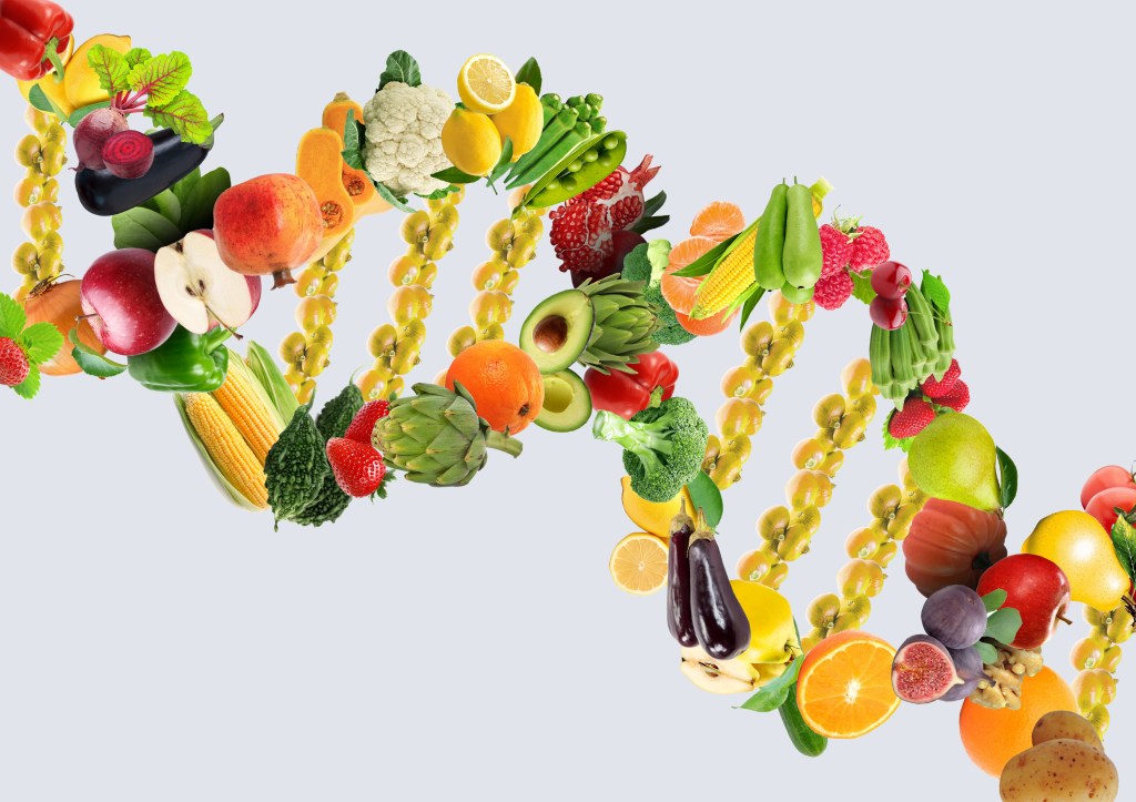 fita de DNA montada com comida