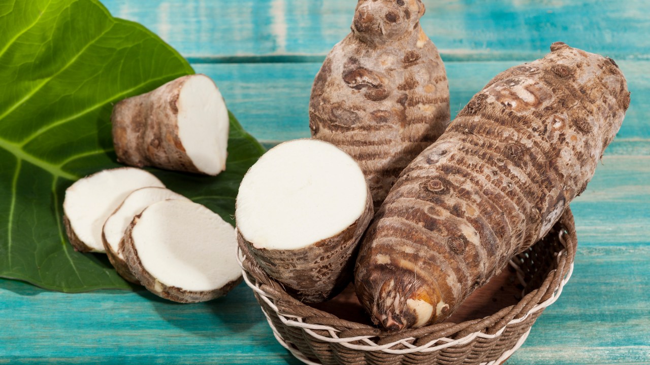 alimento malanga ou taro