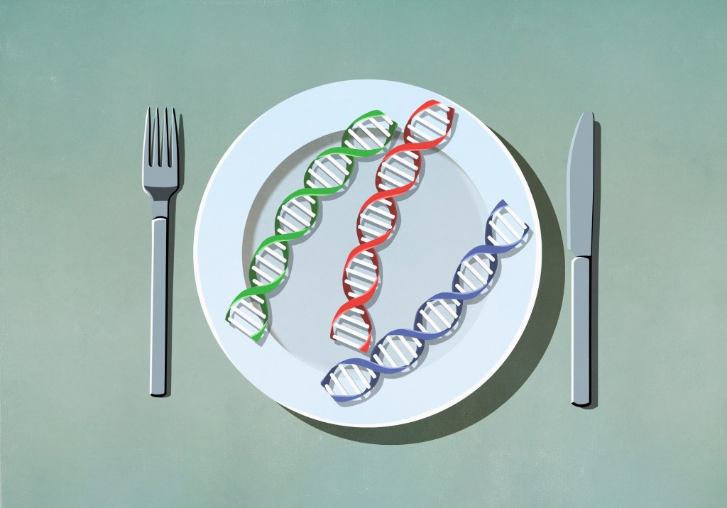 “Fiz um teste de DNA para definir minha dieta e treino”