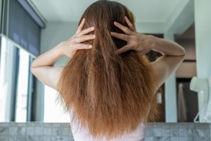 Rear view of woman with her messy and damaged split ended hair.