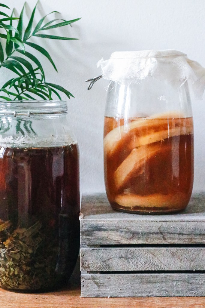kombucha caseiro Imagem meramente ilustrativa