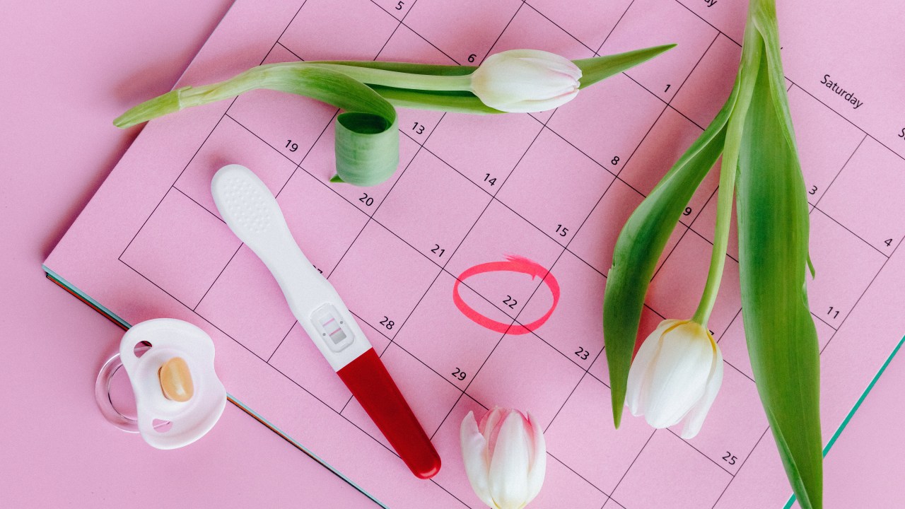 calendário, tese de gravidez, chupeta e flores