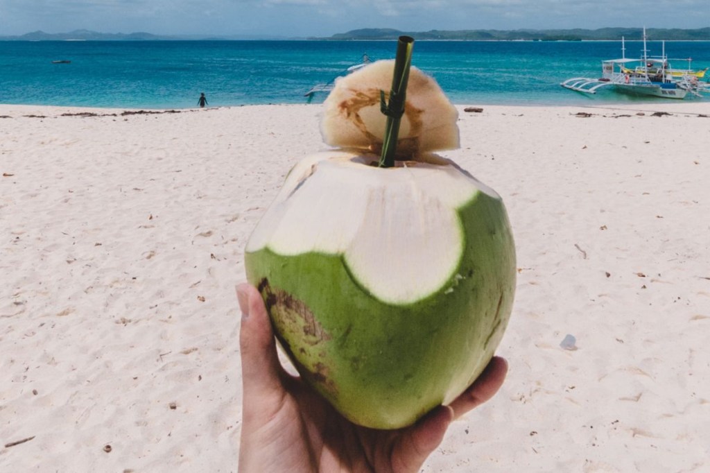 Pessoa segurando coco em praia