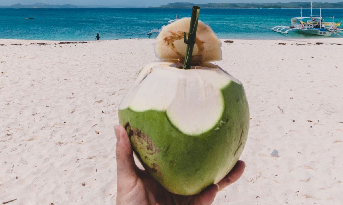 Pessoa segurando coco em praia