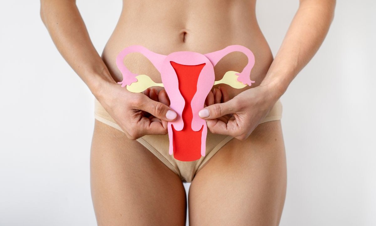 Mulher segurando um modelo de útero perto da barriga