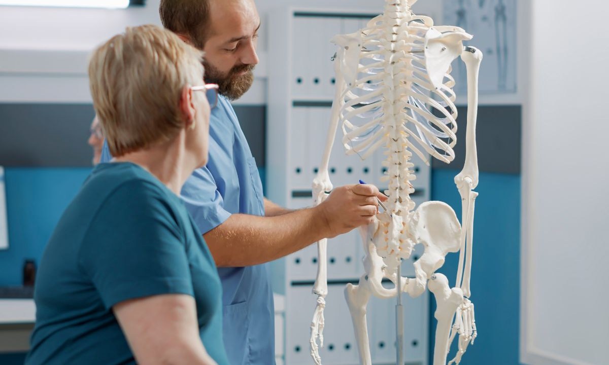 Modelo de ossos do corpo humano