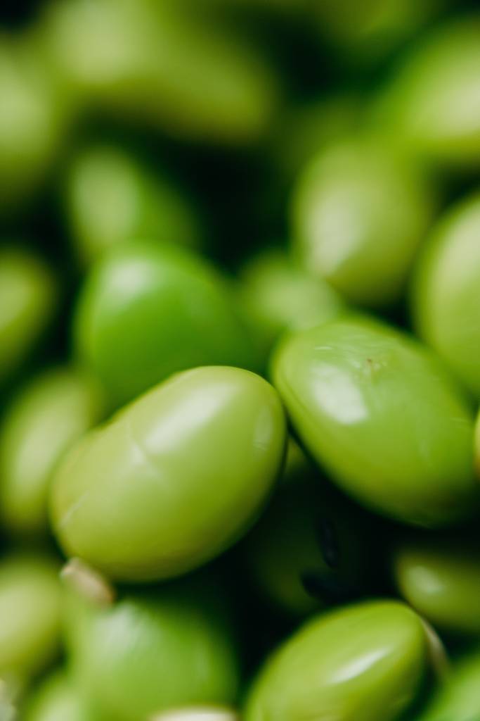 grão verde de edamame