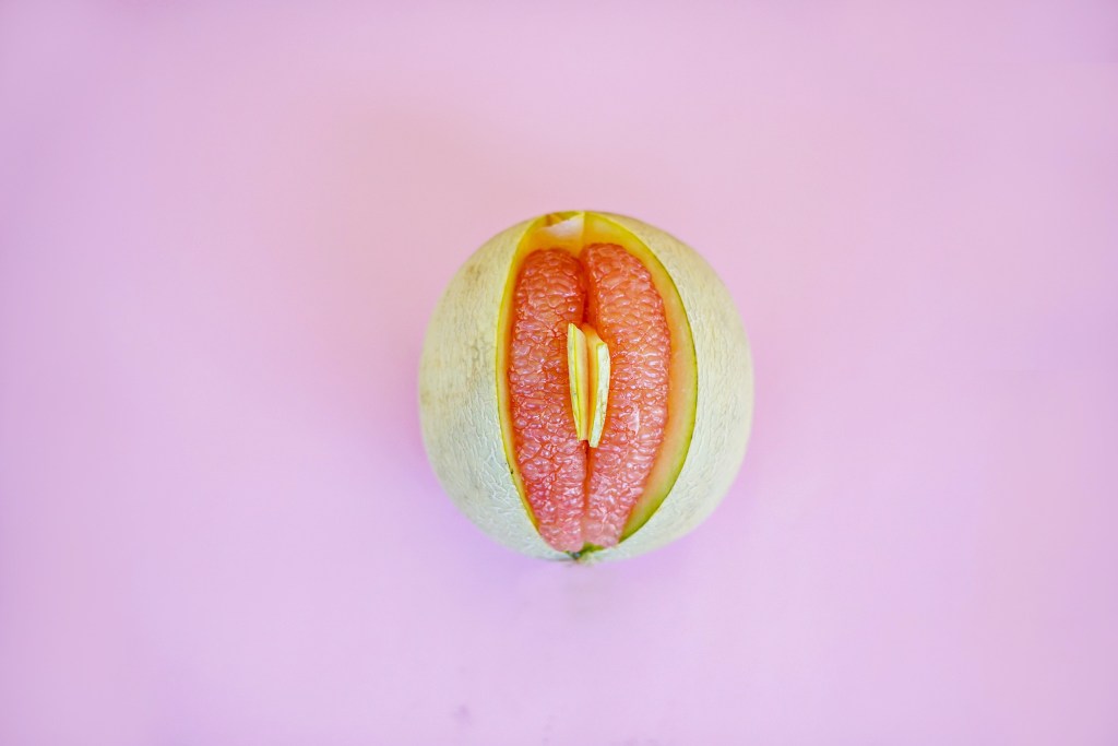 lábios vaginais