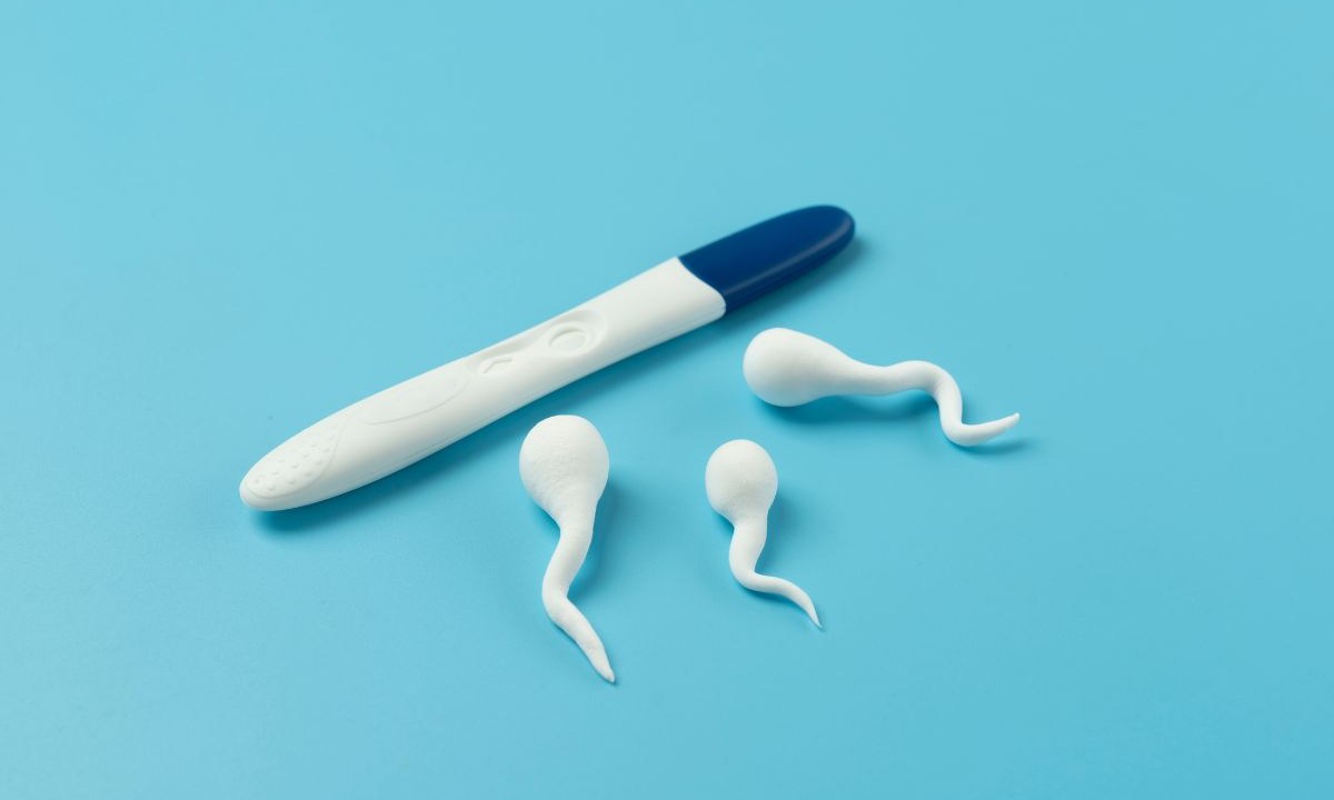 Teste rápido de fertilidade masculina