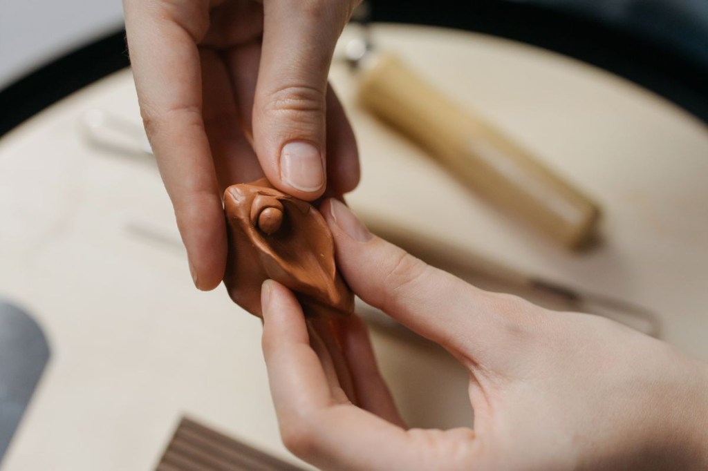 vulva-vagina Vulva e vagina