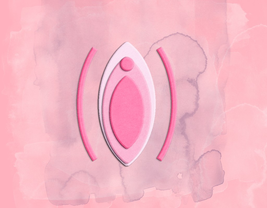 lábios vaginais lábios vaginais