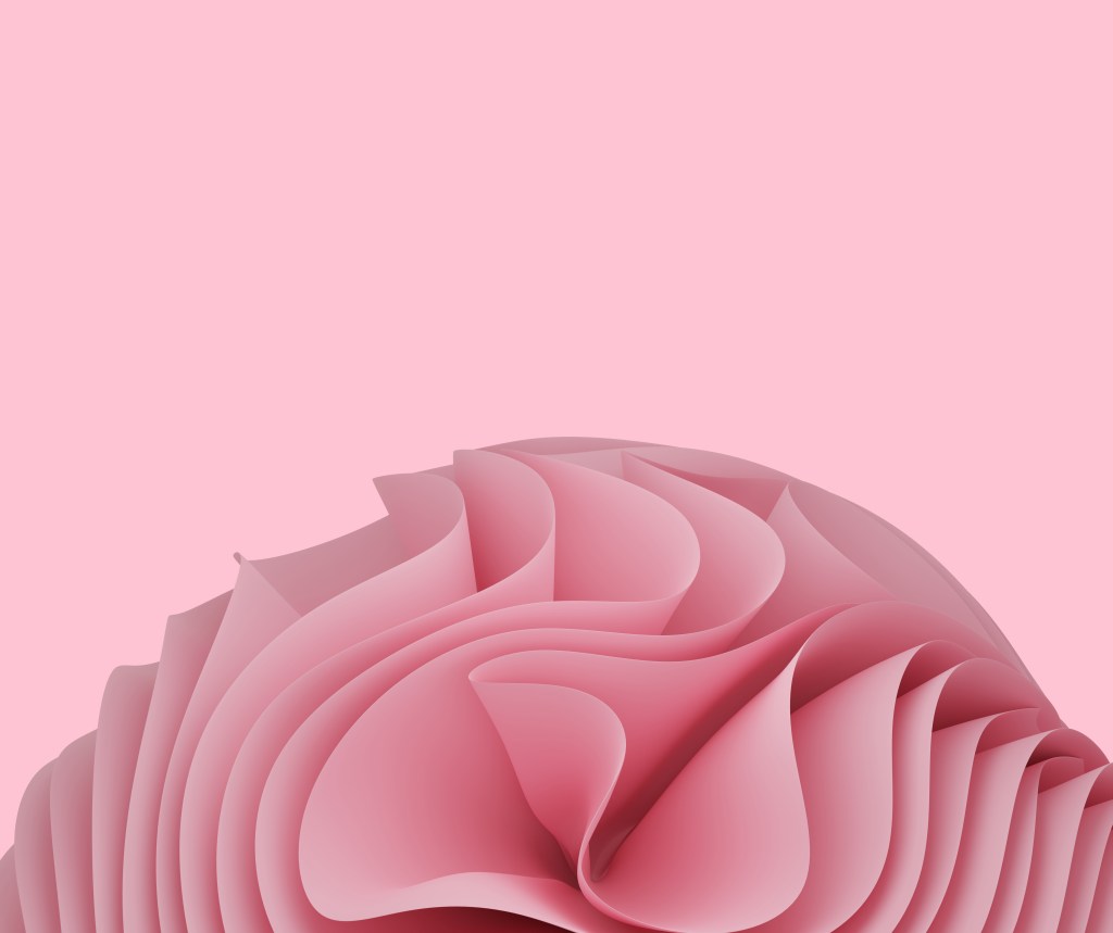 Lábios vaginais: o que são, para quê servem e a questão estética