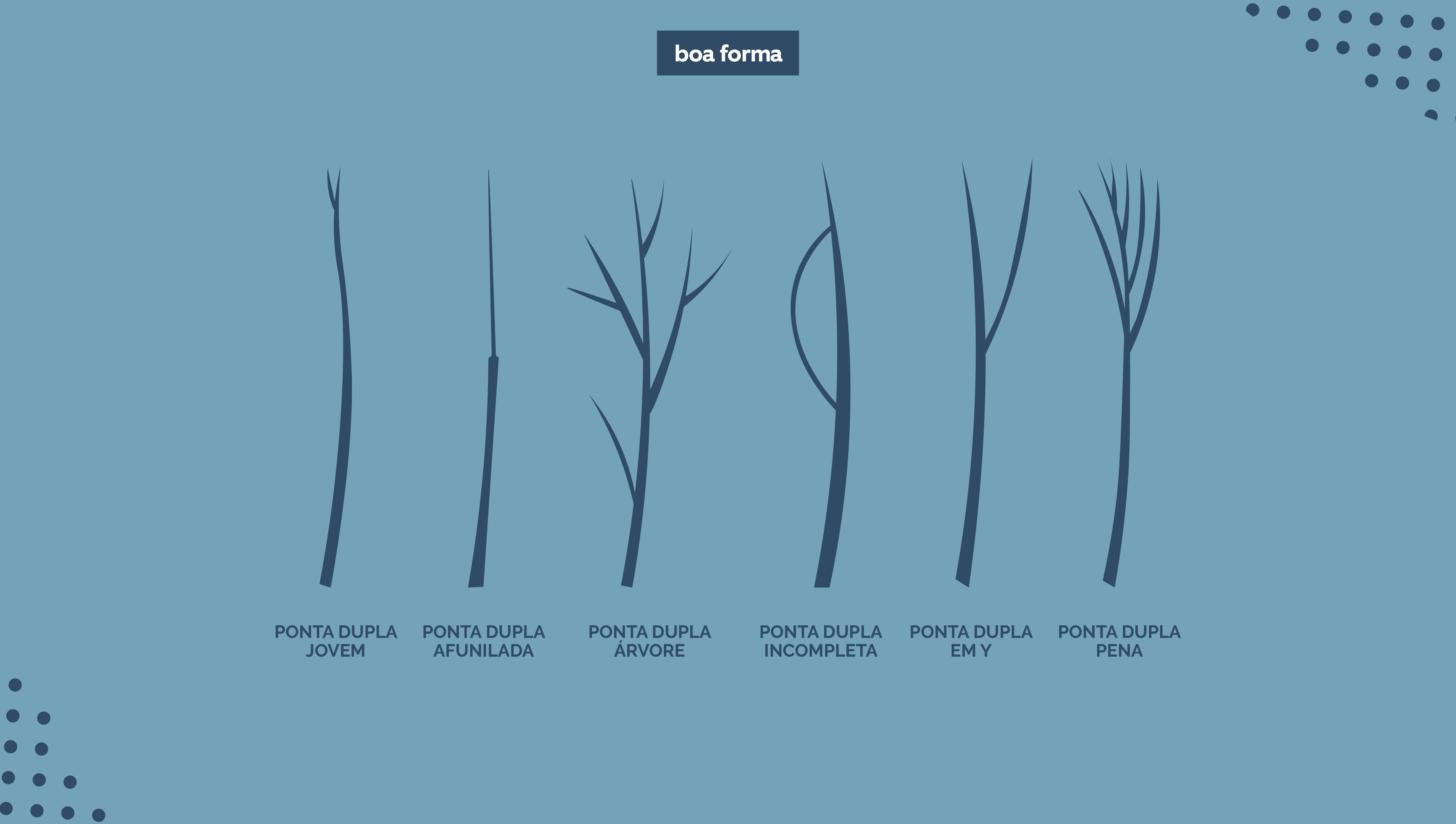 Tipos de Ponta Dupla