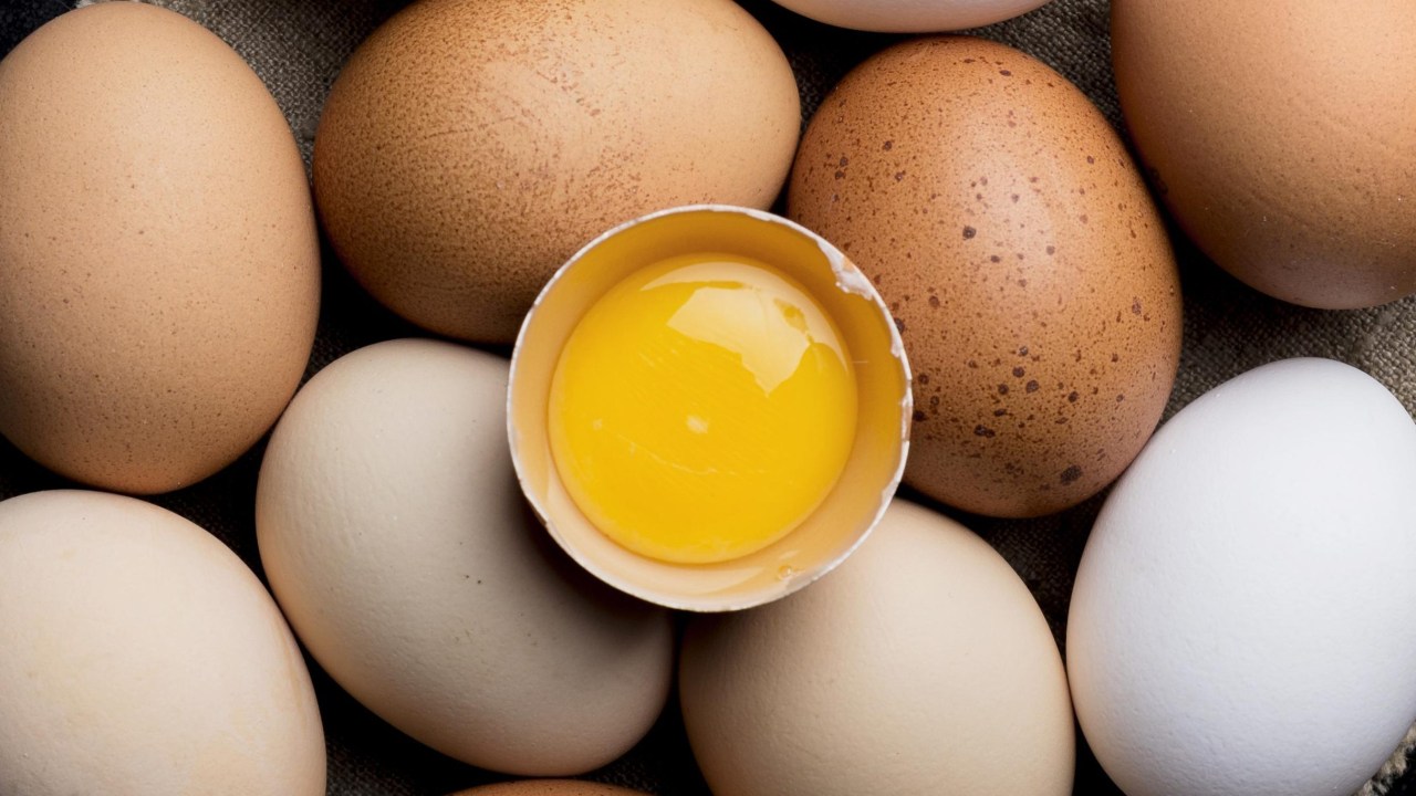Veja dicas de como escolher ovos para comprar