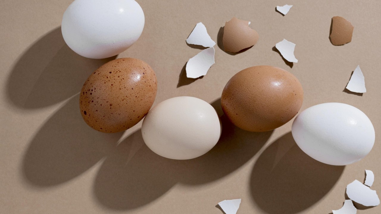 Veja como avaliar a casca do ovo antes das compras