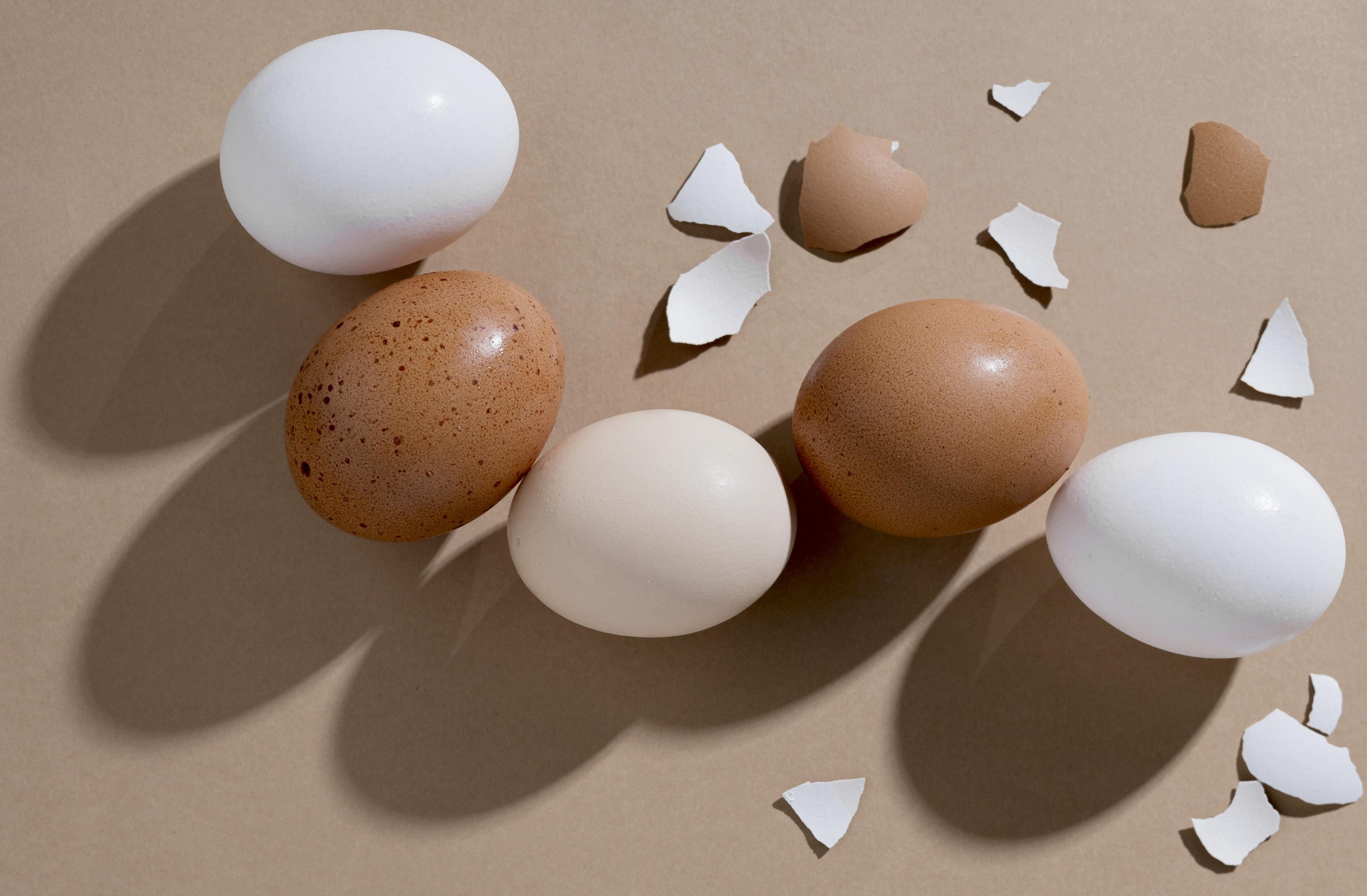 É possível saber se o ovo está bom pela casca: profissional explica ...