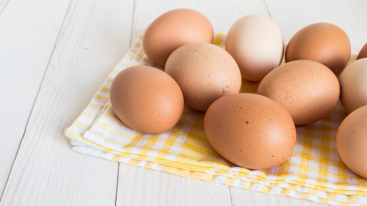 Profissional esclareceu mitos e verdades sobre a casca e gema dos ovos