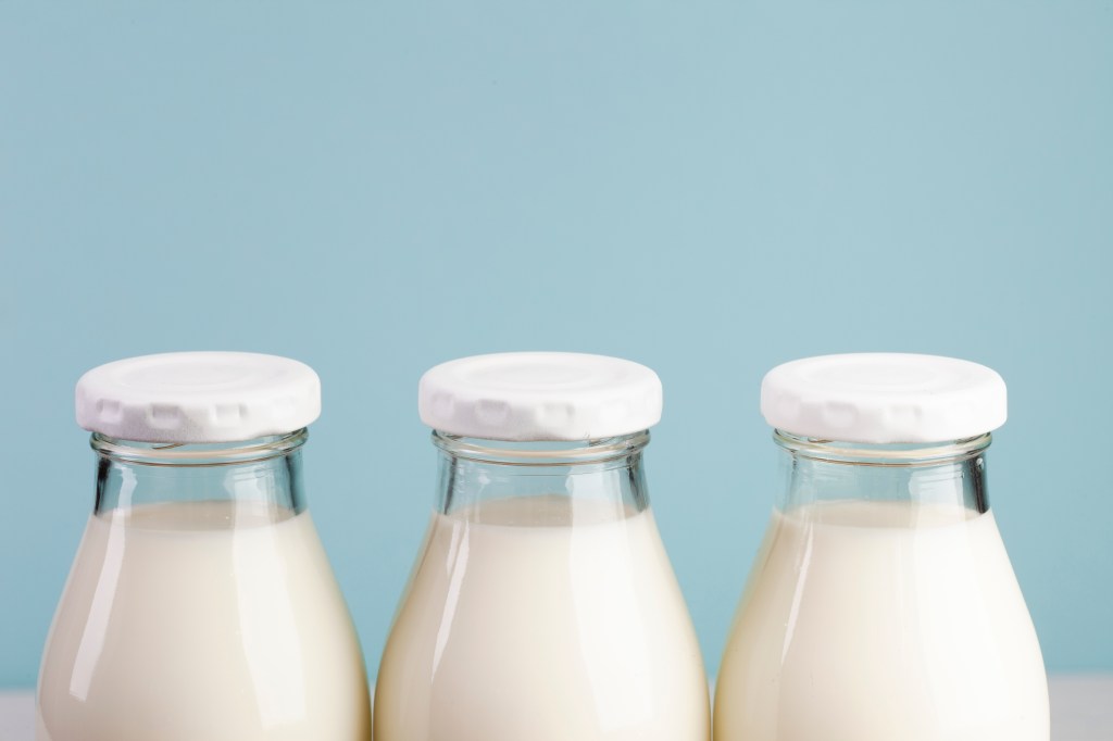 Entenda as características e diferenças entre os tipos de leites