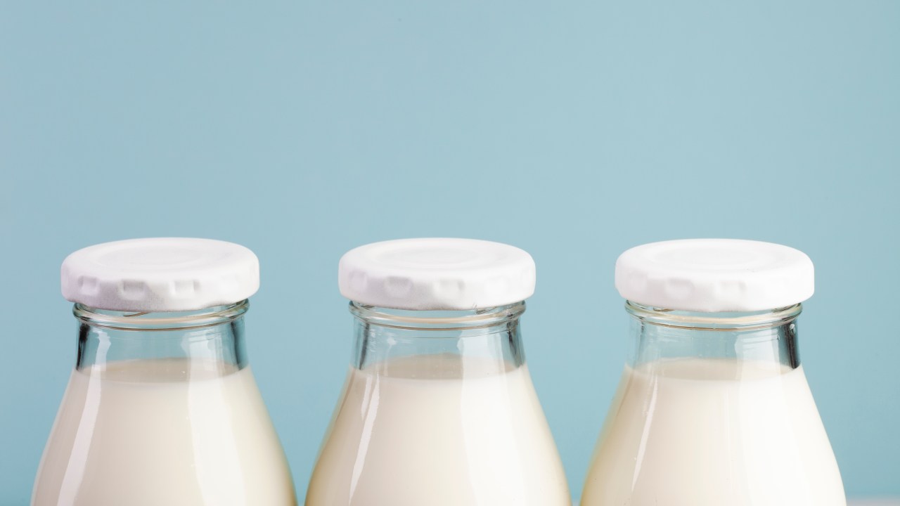 Entenda as características e diferenças entre os tipos de leites
