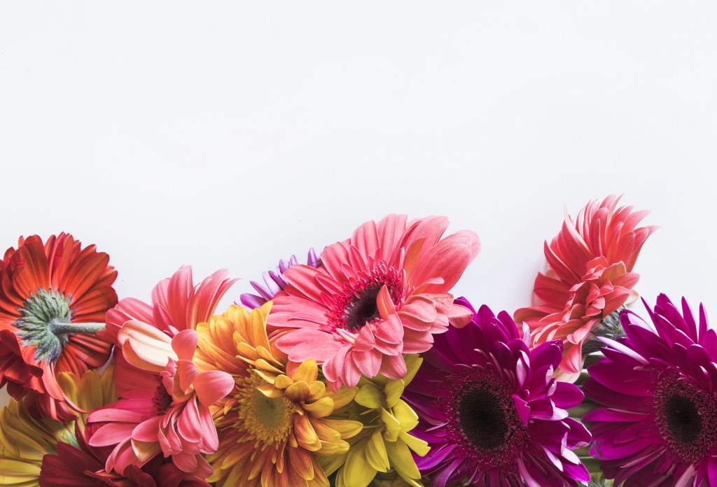 Veja como as flores podem contribuir com a saúde