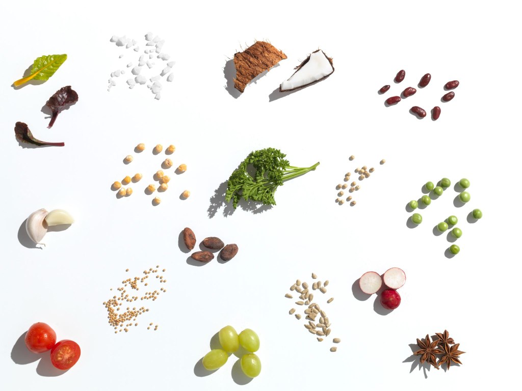 Efeitos das proteínas vegetais nas mulheres