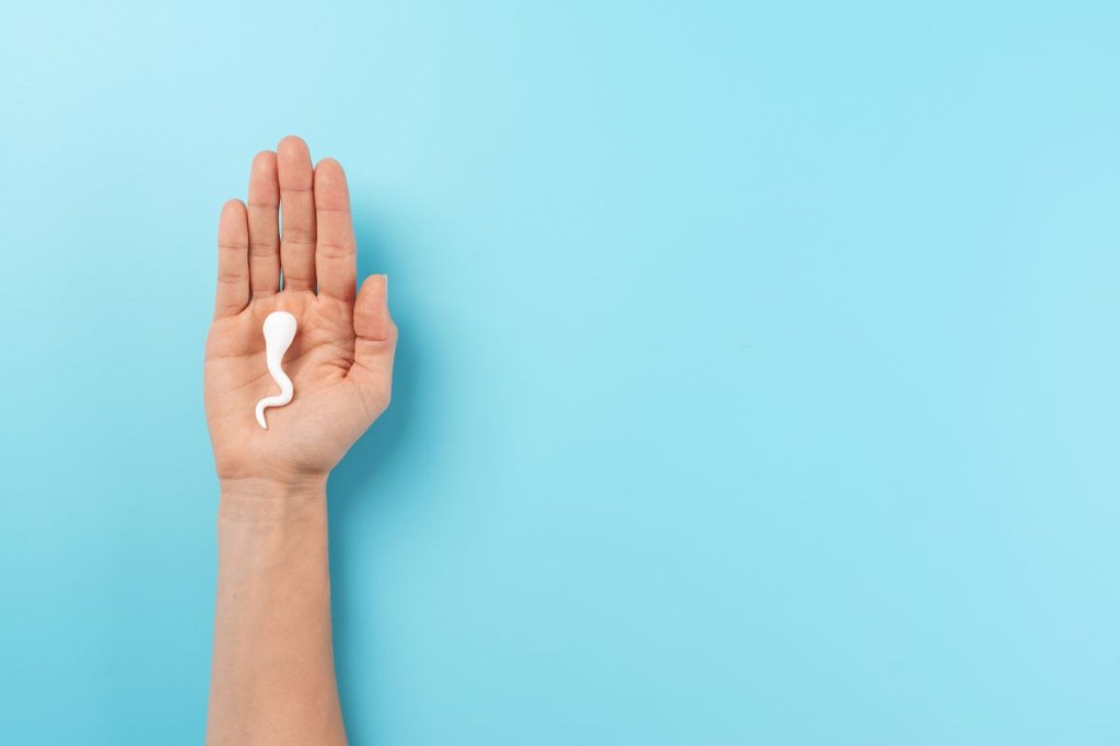 O que é o espermograma?