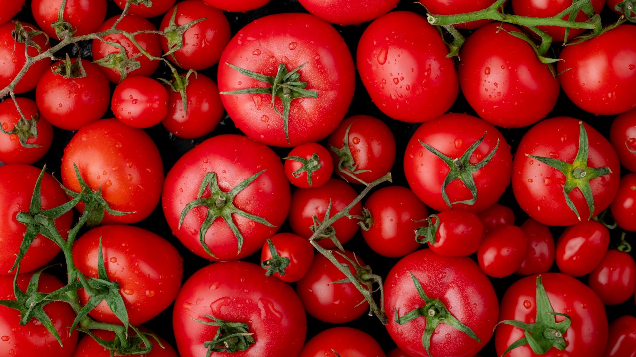 Saiba como o tomate pode fazer bem para a pele