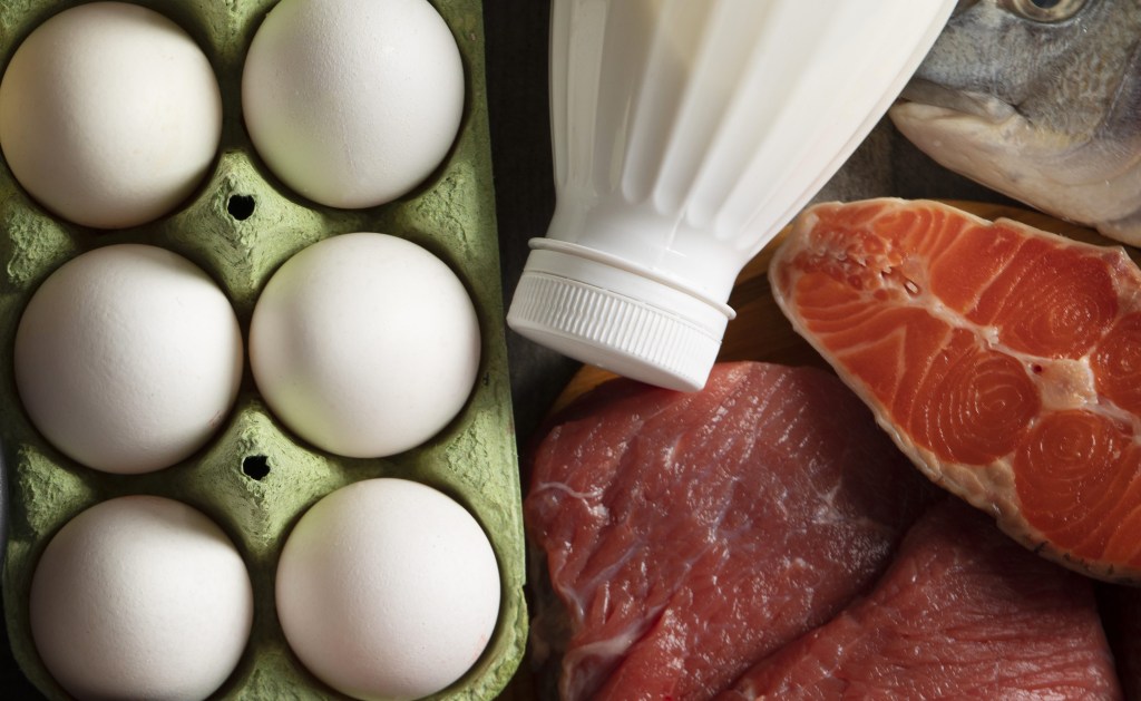 Nutricionista aponta quais proteínas são mais saudáveis para o coração