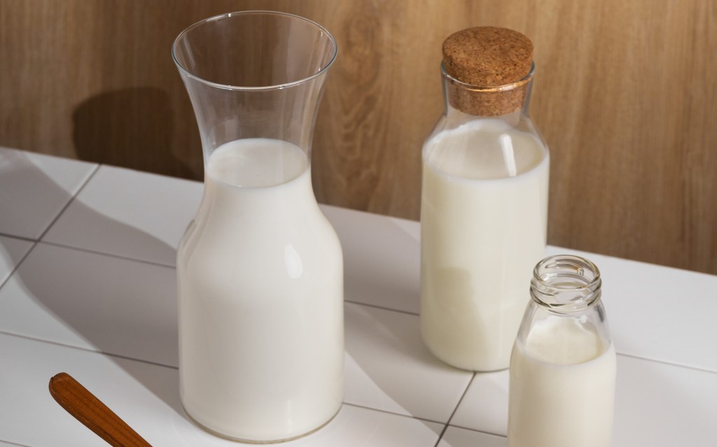 6 razões para incluir o leite vegetal na sua alimentação diária
