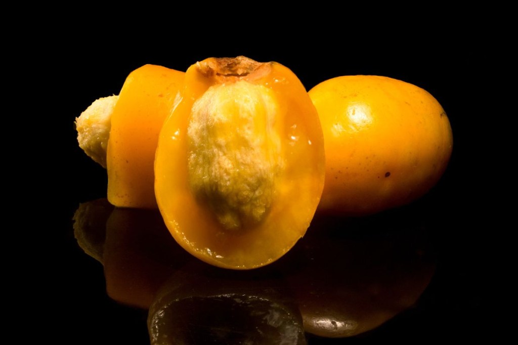 Descubra os incríveis benefícios da seriguela, a fruta prima do caju