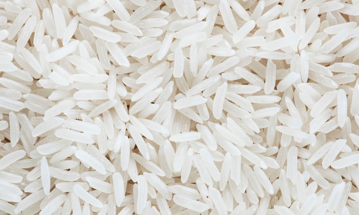 arroz ou macarrão qual engorda mais