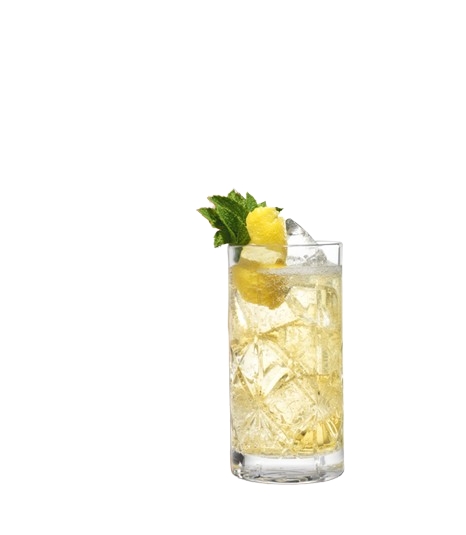 Elderflower Highball Elderflower Highball