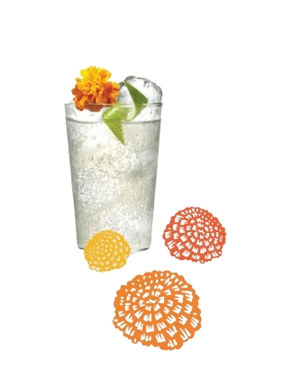 Marigold Mule Marigold Mule