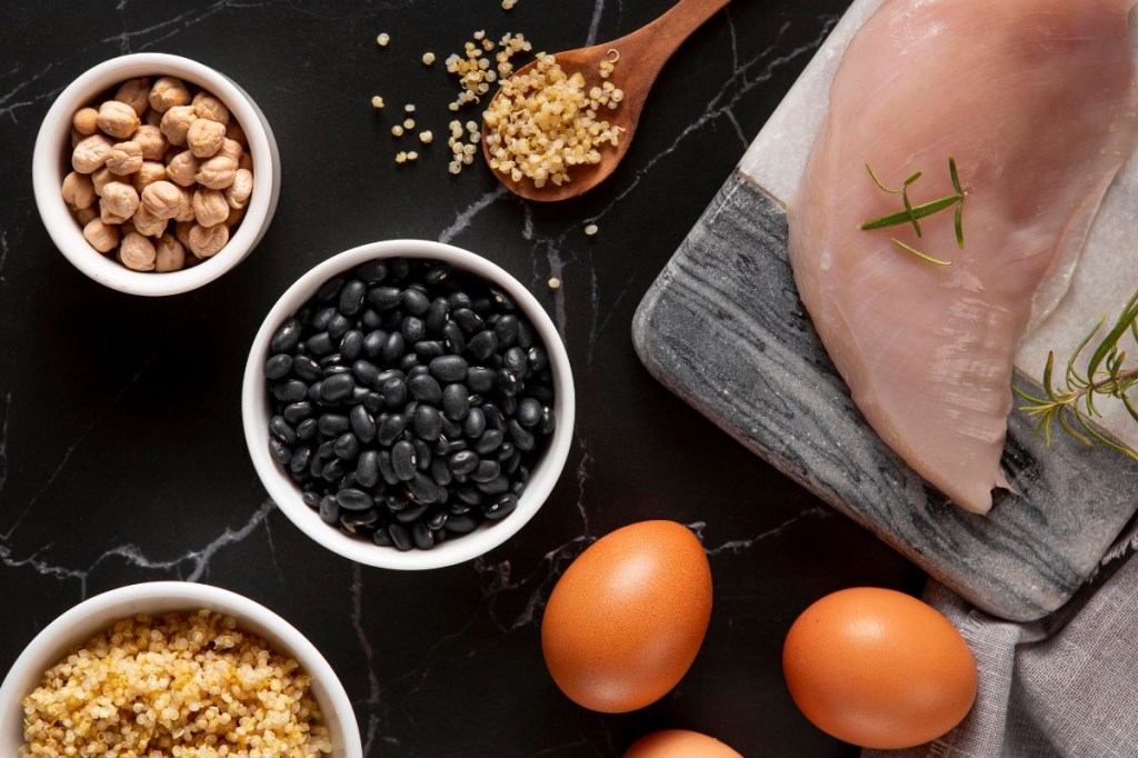 proteína vegetal e animal diferenças proteína vegetal e animal diferenças