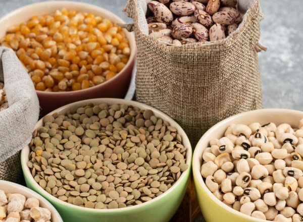 proteína vegetal as melhores fontes
