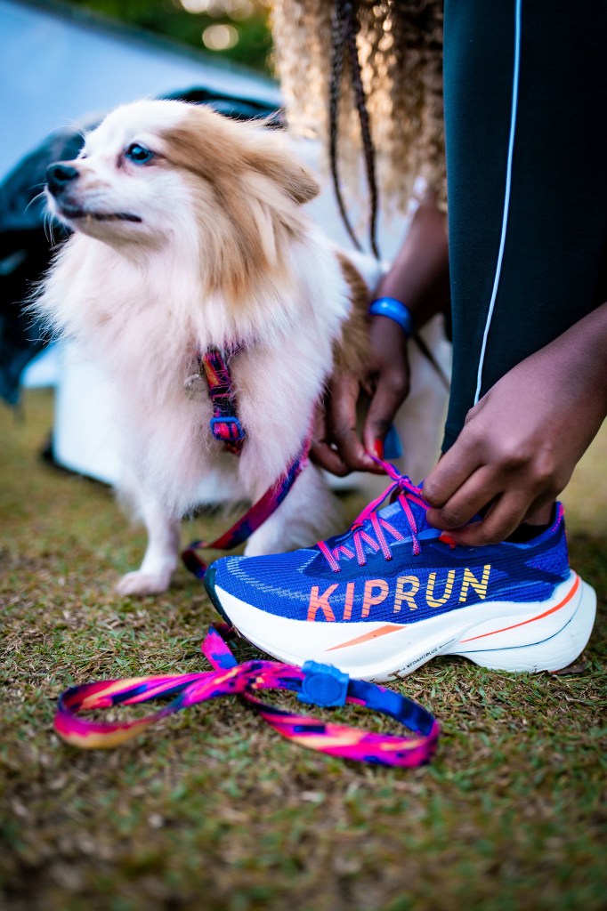 kiprun-kd900x-ld-modelo-placa-carbono-longas-distancias .