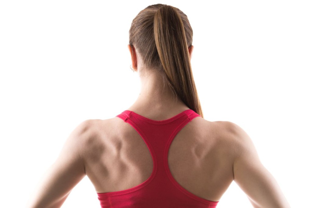 Remada cavalinho e curvada: diferenças e benefícios para suas costas