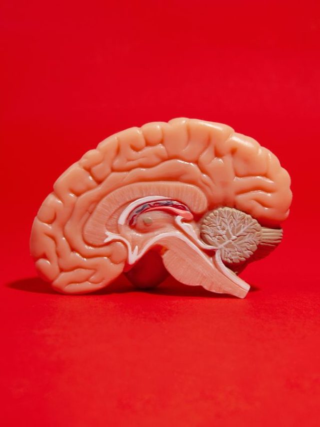 Capa de: Saúde cerebral: descubra os 6 pilares fundamentais para uma mente saudável