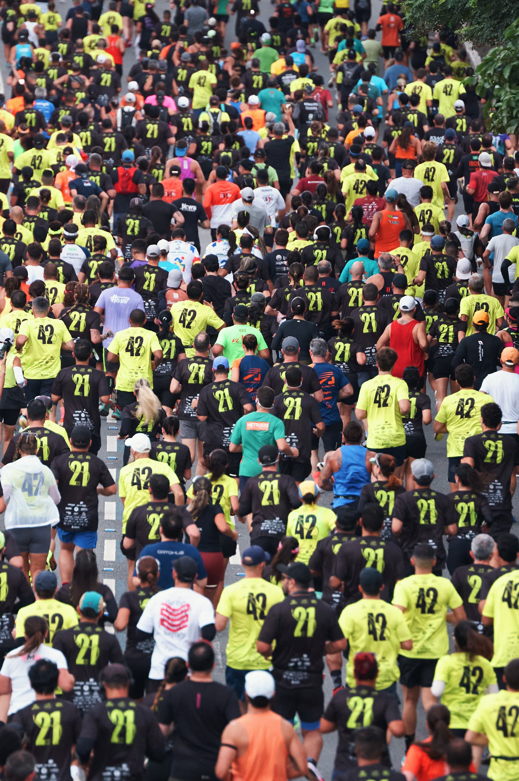 Maratona Internacional de São Paulo